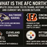 What Is the AFC North? A Complete 2025 Guide to Its Teams History Rivalries and Current NFL Season Outlook